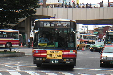 C8126