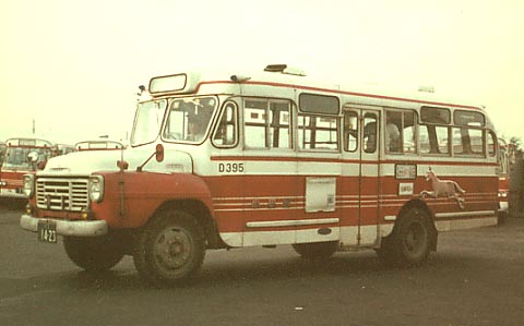 D395(BXD30)