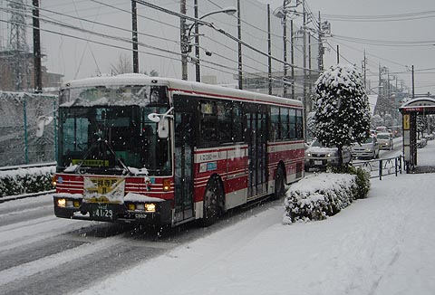 C982 in snow